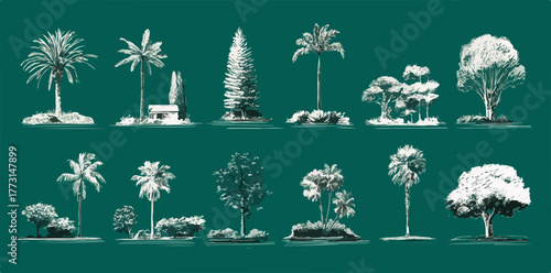 Uma coleção ilustrativa de árvores e arbustos tropicais e temperados, apresentando diversas formas e tamanhos para uso em design botânico.