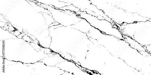 "Luxurious white marble texture with fine dark grey veins, perfect for modern interior design, wall tiles, countertops, and minimalist backgrounds. Premium stone surface pattern"