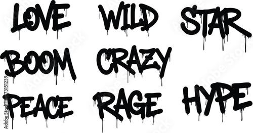 Graffiti Words Love Wild Star Boom Crazy Peace Rage Hype.