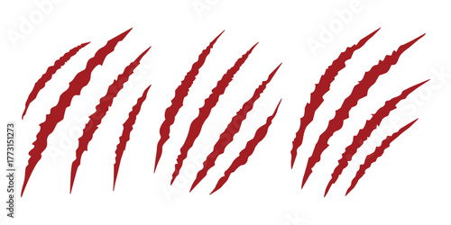 Red Scratch Marks Vector set. Torn Skin Effect Design