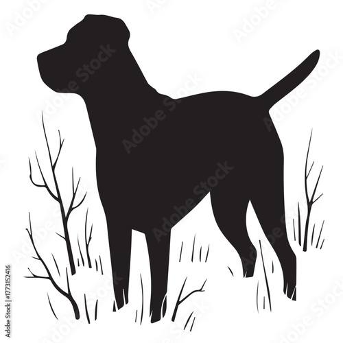 A vigilant dog stands alert in a field of grass and bare branches, its silhouette sharply defined against the white background isolated on white background the dog is watchful
