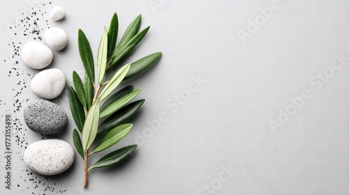 Wallpaper Mural Zen stones and olive branch on a gray background Torontodigital.ca