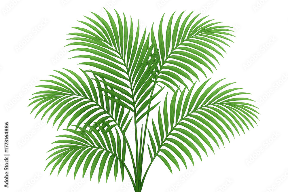 Naklejka premium Tropical palm tree leaves illustration on transparent background providing summer and holiday design elements