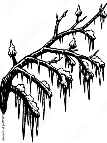 Frozen branch with snow and icicles hanging down, showcasing a winter scene adorned with ice crystals and frosty flakes.