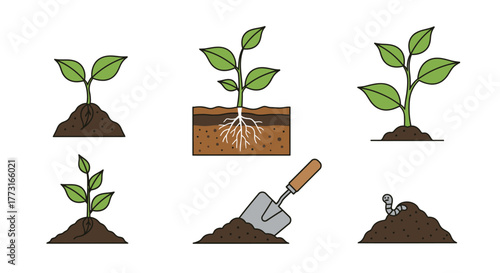Young plants growth stage icons with garden tools and worm illustrations