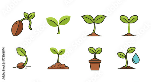 Sprout Stages Icon Set, Seed Growth and Development Illustration