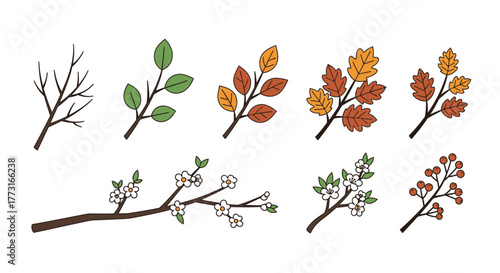 Seasonal Branches Vector Set Autumnal Spring Plant Growth Cycle