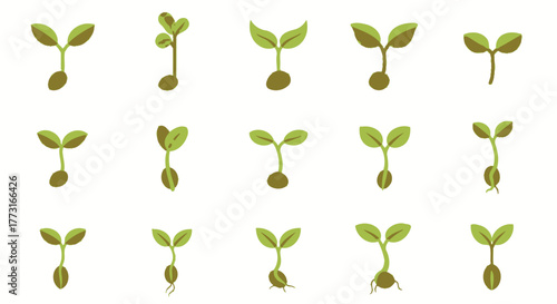 Seedling sprout growing collection vector illustration on white backdrop