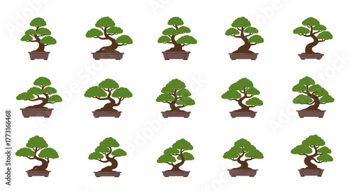 Minimalist Bonsai Tree Collection in Pots on White Background