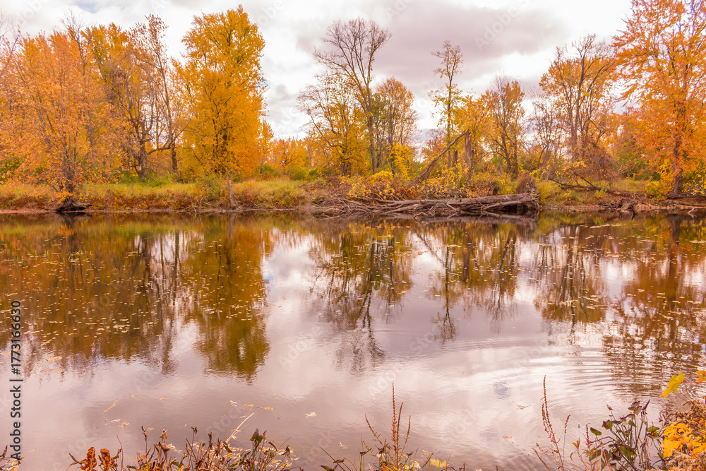 Obraz premium Beautiful colorful autumn scenery lake view