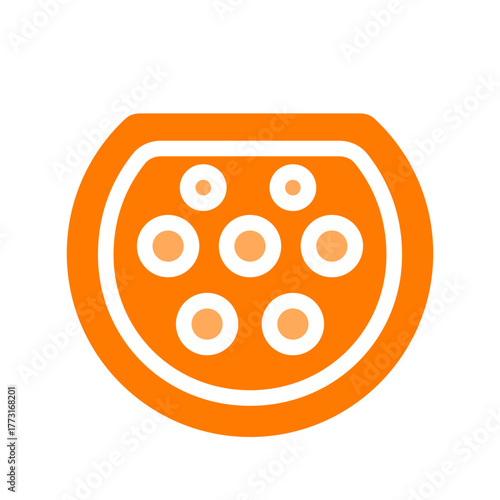 type 2 port orange icon