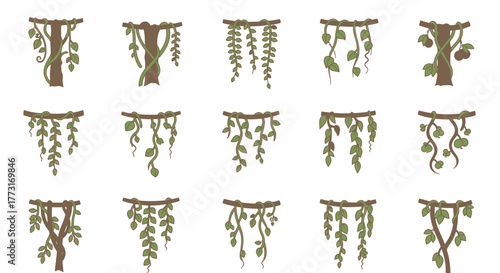 Exotic Jungle Vines and Plants Vector Collection on White