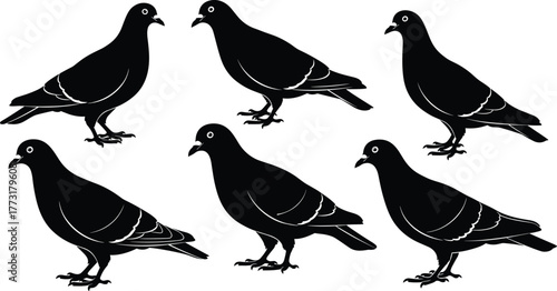 Silhouette pigeon illustration, black bird outline, flying dove design, urban wildlife graphic, seamless pattern element, decorative avian artwork, vector style