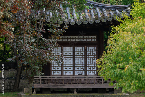 고궁 단풍