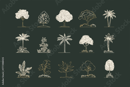 Collection de vecteurs d'arbres et de plantes dessinés à la main, style vintage, éléments naturels.