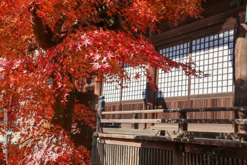 秋の本土寺（千葉県松戸市）。紅葉の境内。本堂。
