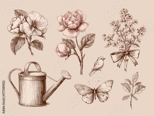 Illustrations vectorielles vintage de fleurs, oiseau, papillon et arrosoir, idéales pour des designs naturels et printaniers.