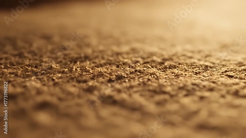 Close-up of a textured brown surface, possibly sand or dirt, with a shallow depth of field, creating a soft, blurred background and a focused foreground.