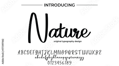 Nature - Elegant Script Font for Smooth Handwritten Design and Creative Typography