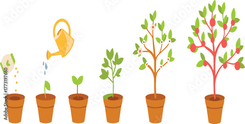 Growth stages of plant in pots with watering can, nature development concept, gardening, agriculture and environmental sustainability illustration