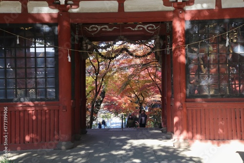 秋の本土寺（千葉県松戸市）。紅葉の境内。仁王門の向こうに見える紅葉.