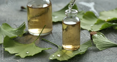 Taking essential oil from bottle with pipette at grey textured table with ginkgo biloba leaves, closeup