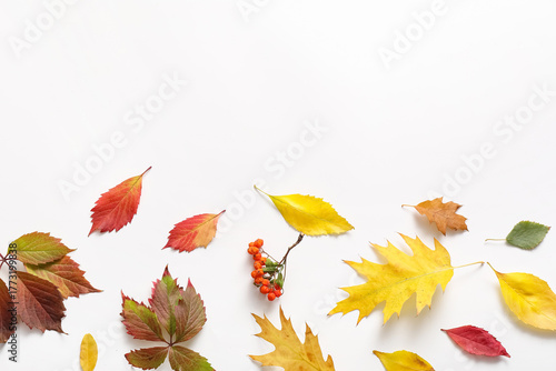 Autumn season flat lay with...