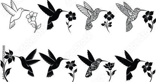 Stylized hummingbird silhouettes with flowers in varied poses and patterns for decorative nature, wildlife, floral, and artistic vector illustration themes