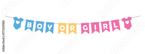 boy or girl festive banner, baby sex announcement holiday decoration, gender reveal party garland, vector design element