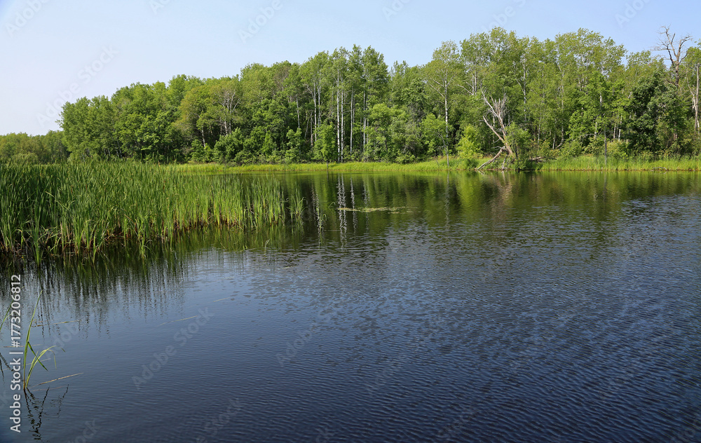 Obraz premium Green and blue landscape - Voyageur National Park, Minnesota