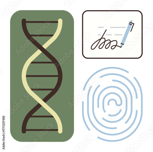 DNA strand, fingerprint, and signed document highlight identity, authentication, and security. Ideal for genetics, biometrics, legal validation technology research healthcare science. Simple flat