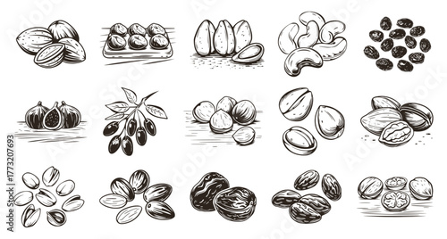 Set of vintage engraved illustrations featuring healthy nuts and dried fruits like almonds, cashews, figs, and dates. Detailed hand-drawn sketch of superfood and snack ingredients.