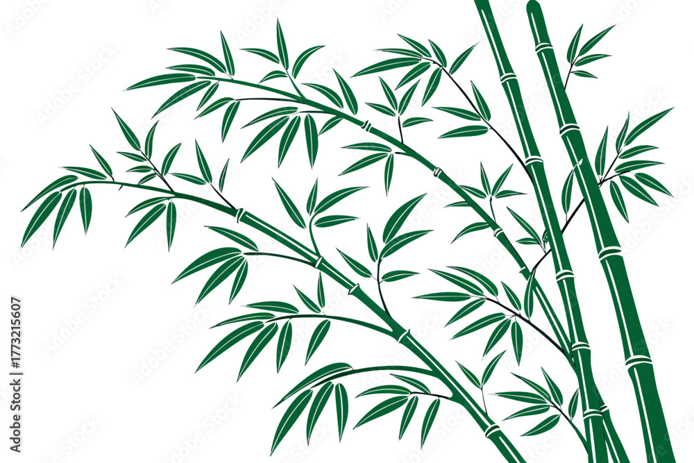 Obraz premium bamboo leaves on a white background