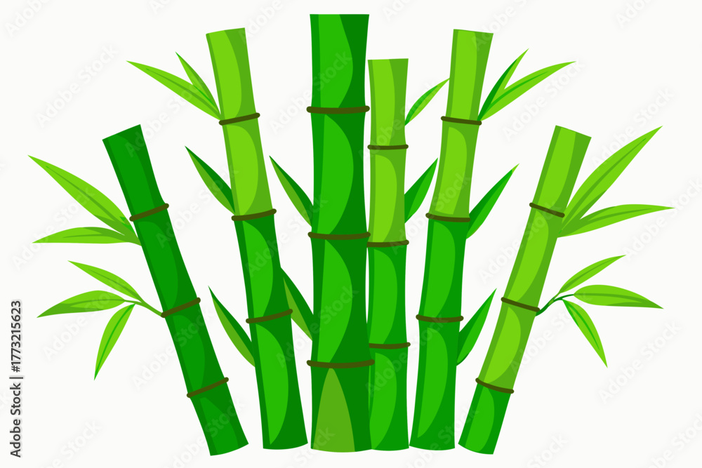 Fototapeta premium bamboo vector illustration