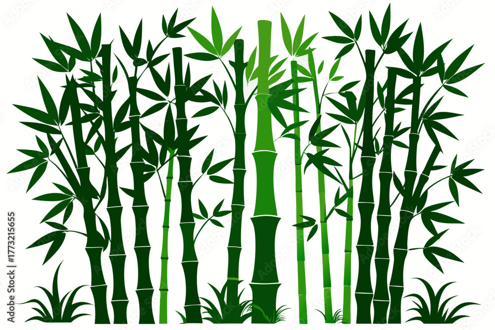 Naklejka premium bamboo vector illustration