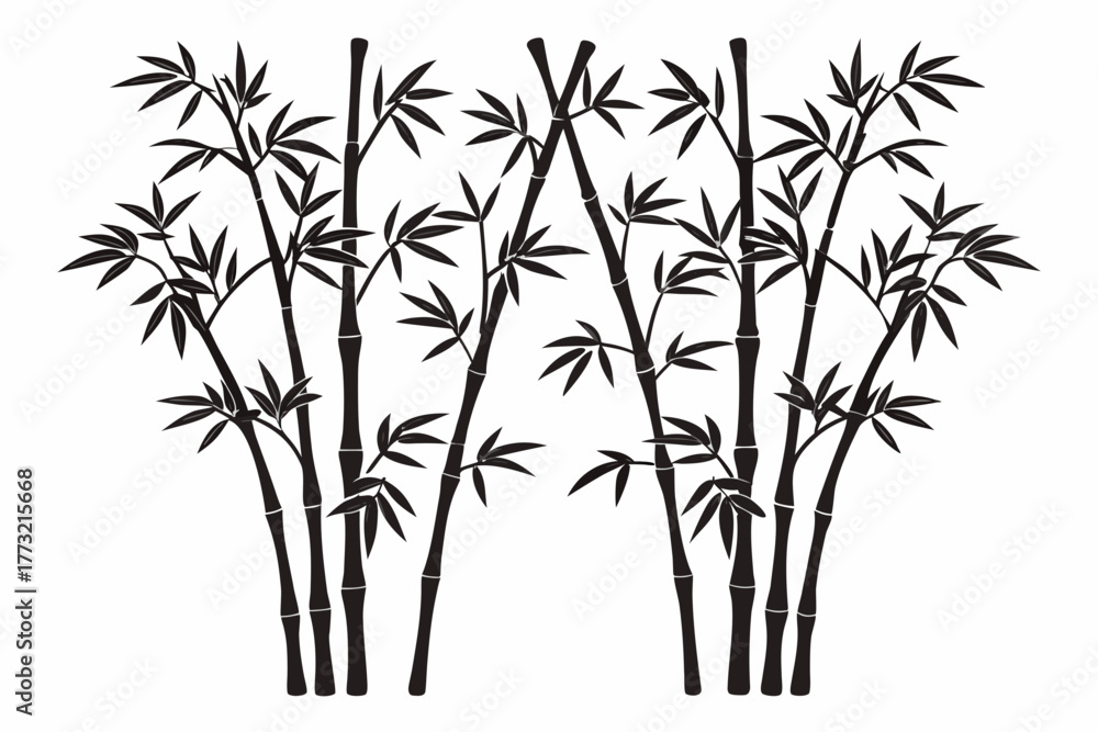 Fototapeta premium bamboo leaves isolated on white