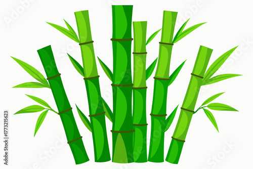 bamboo vector illustration