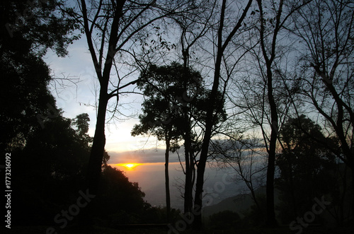 Sunset and sunrise scenes in park and city