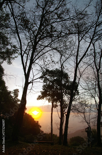 Sunset and sunrise scenes in park and city