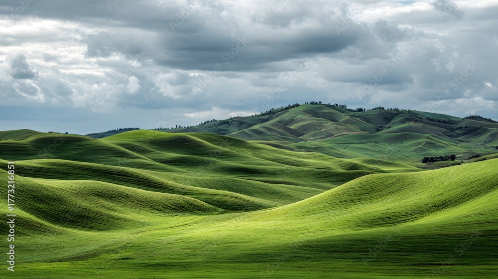 Obraz premium Rolling green hills undulate beneath a dramatic, overcast sky