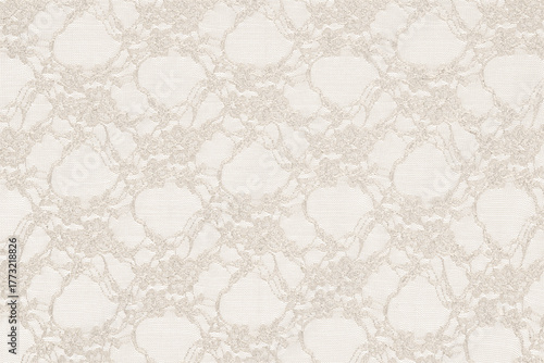 Delicate floral lace fabric with a transparent pattern, ideal as an overlay or decorative background for design projects
