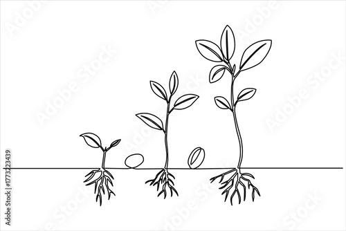 Continuous one-line drawing of seedling development stages and roots