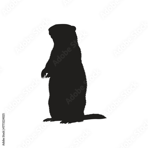 Black silhouette of a groundhog standing upright on a white background