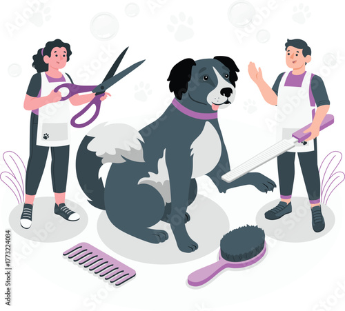 Dog grooming with scissors comb brush and two groomers animal care