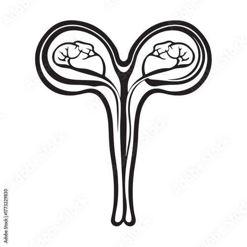 set Female reproductive icon. uterus symbol vaginal sign design illustration