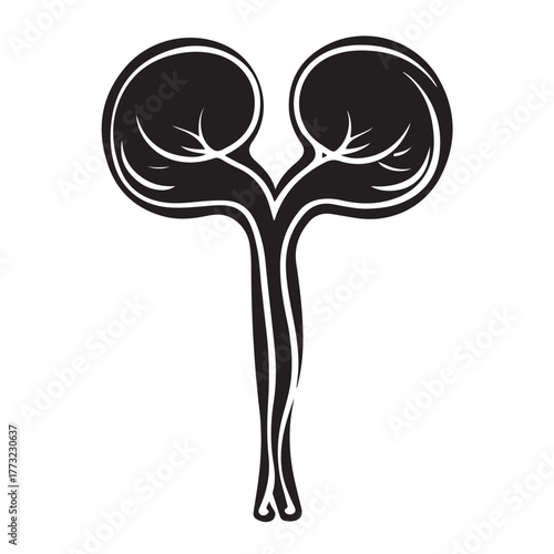 set Female reproductive icon. uterus symbol vaginal sign design illustration