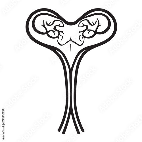 set Female reproductive icon. uterus symbol vaginal sign design illustration
