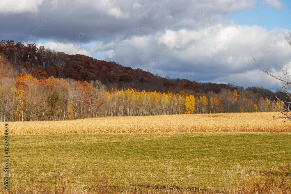 Naklejka premium autumn in the mountains