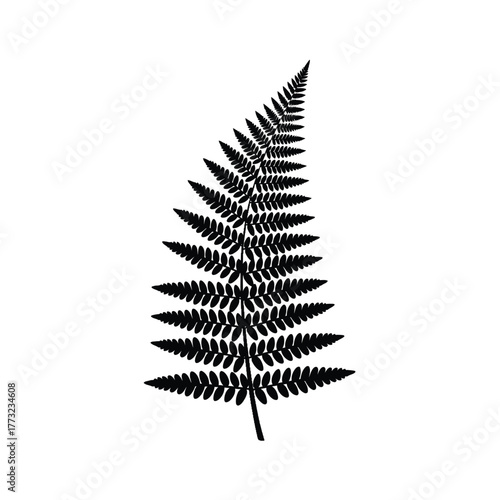 Black Fern Silhouette Vector Illustration Isolated on White with Red Stem