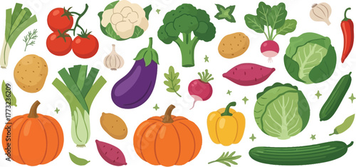 Fresh garden vegetables harvest brings color and flavor to your table with pumpkin, broccoli, cabbage, tomatoes, potatoes, pepper, garlic, and onion